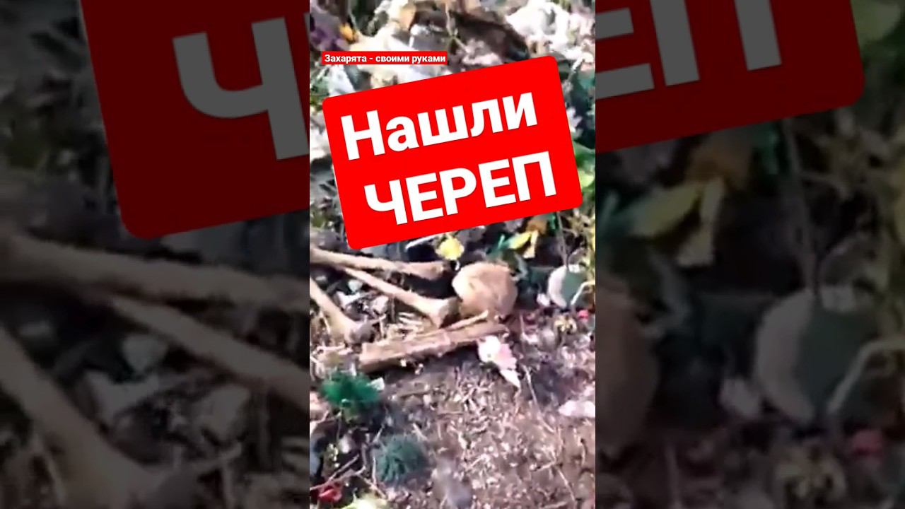 Останки человека нашли в мусоре #братьязахарята #захарята смотреть онлайн