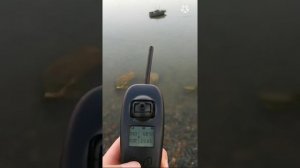 Недорогой карповый прикормочный кораблик Ta18 с GPS.