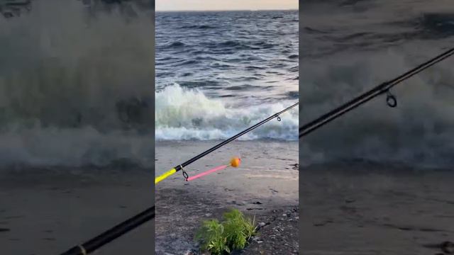 Почему рыба лучше клюёт по волне! смотреть онлайн