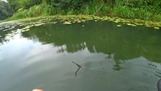 ПОВЕРИТЬ НЕ МОГ ЧТО ЕГО НАШЁЛ! РЫБАЛКА ПРОСТО УДАЛАСЬ! Рыбалка на спиннинг и кружки 2023. смотреть онлайн
