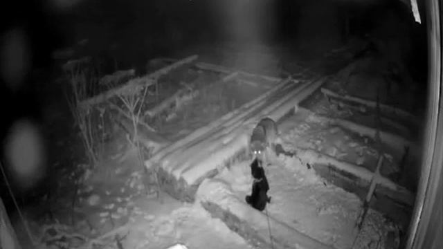 Кем блади бур или ет зур смотреть онлайн