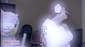 Мем. Ты просто пушка