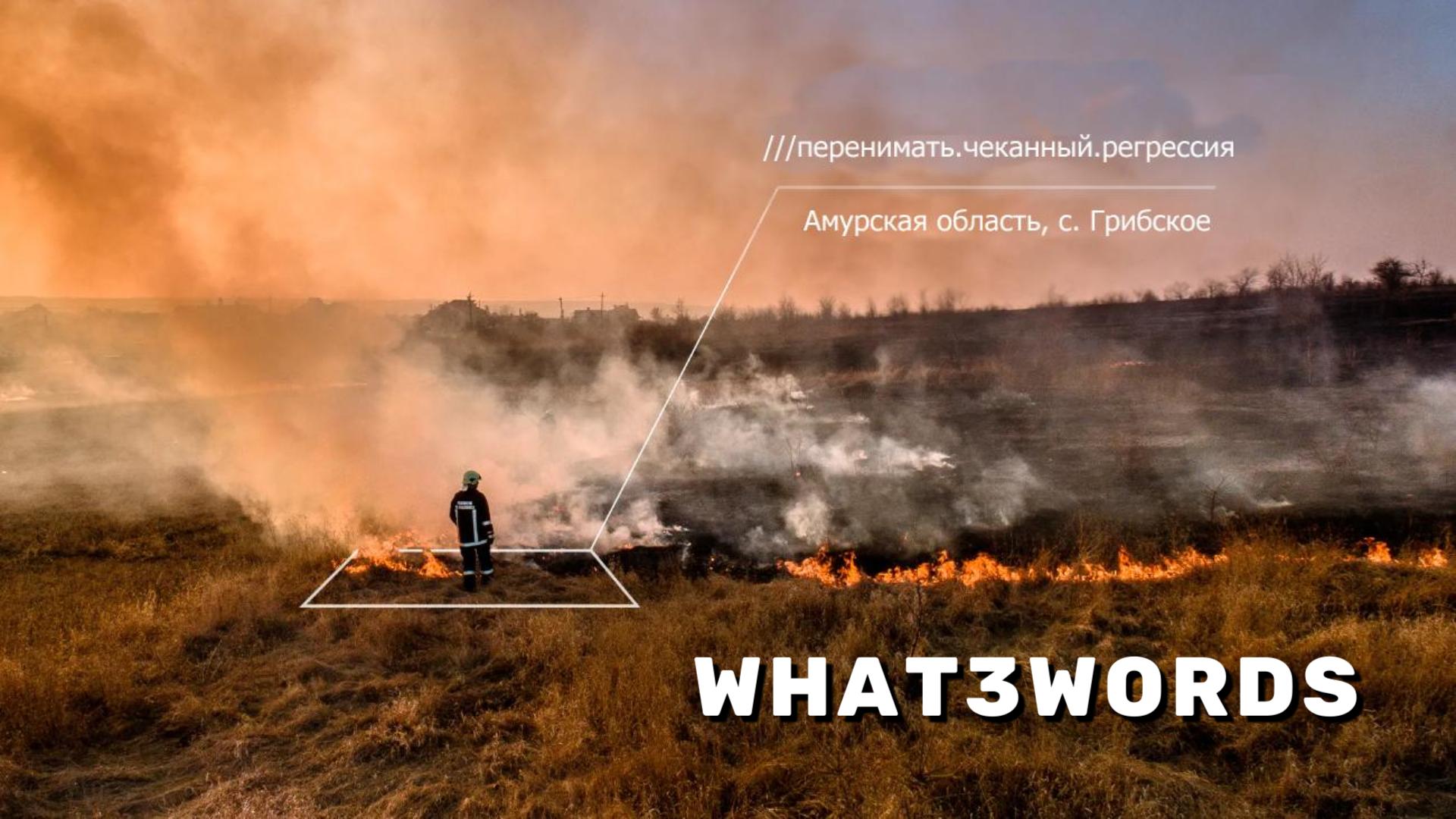 WHAT3WORDS. Иди на три весёлых слова! смотреть онлайн