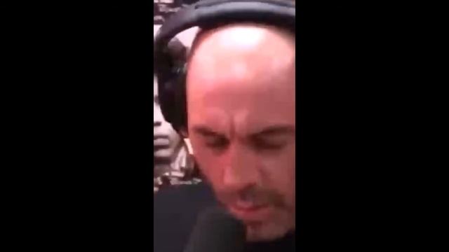 Гай Ричи в подкасте Джо Рогана. Золотая классика. смотреть онлайн