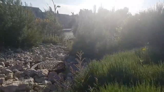 ОЧЕНЬ РАССТРОЕНЫ НО ДЕРЖИМСЯ. МУЖ МНЕ НЕ РАЗРЕШАЕТ.... ПРОГУЛКА В ОДИНОЧКУ. ФРАНЦИЯ С Elena France