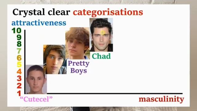 shape x rosto qual atraí mais as mulheres смотреть онлайн