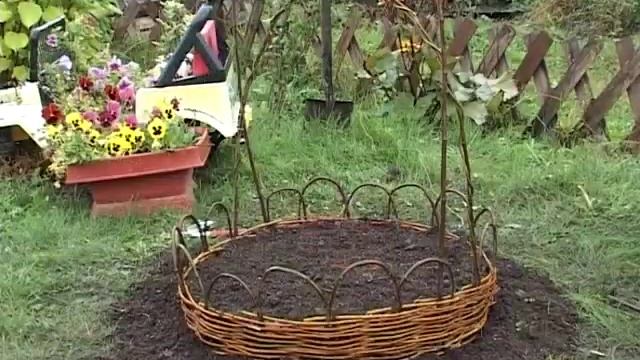 Дизайн с луковичными в саду своими руками.VOB смотреть онлайн