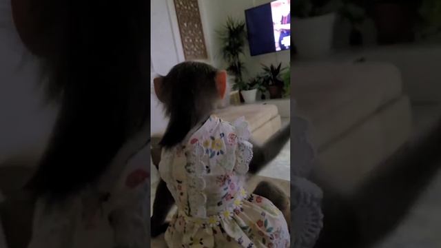 Киносеанс , дети смотрят видео с Никушей? смотреть онлайн