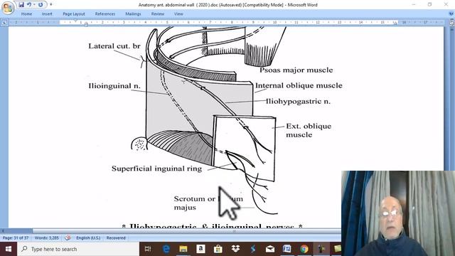 Anatomy GIT module in English 2021 ( Nerves of anterior abdominal wall ) , by Dr. Wahdan смотреть онлайн