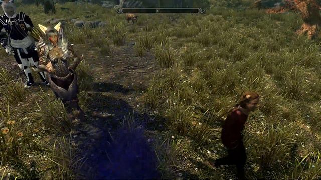 Skyrim 2020LE My son Sora and I смотреть онлайн