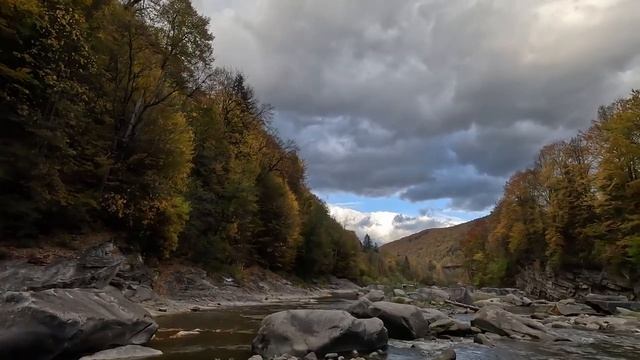 Сын хирурга предложил зечке стать уборщицей у родителей, а едва сирота вошла в дом... смотреть онлайн