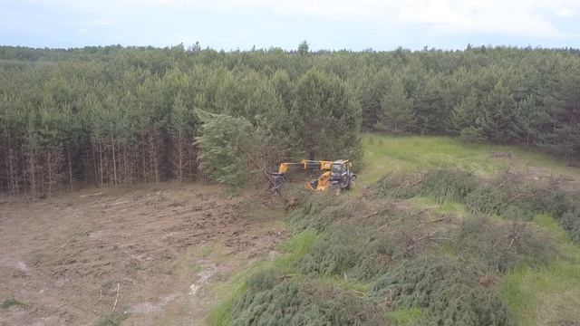 корчевка деревьев смотреть онлайн