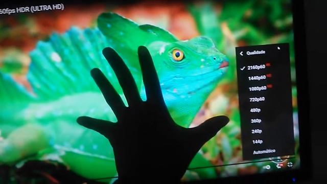 monitor acer смотреть онлайн