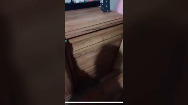 Тумба ARNIKA Nature 5 смотреть онлайн