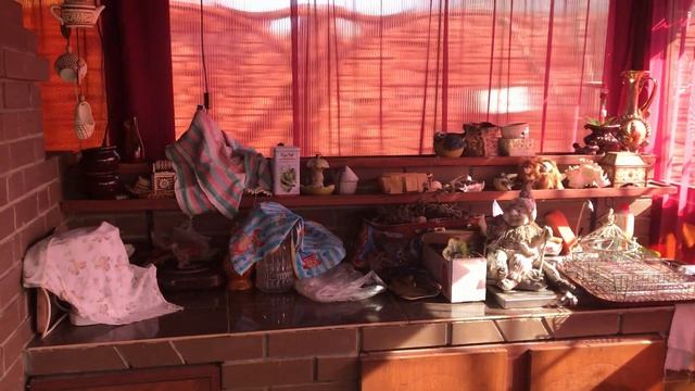 Купили дом на болоте. Создали участок мечты! Жизнь в лесу. Лесное болото! смотреть онлайн