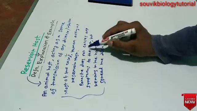 Reservoir Host With Example | Explanation | Parasitology | Basic | WBSSC SLST | NEET | BIOLOGY смотреть онлайн