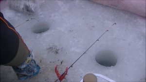 Зимний фидер, отводной/р.Сакмара