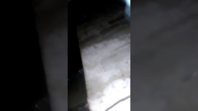 1февраля- в подвале вода смотреть онлайн