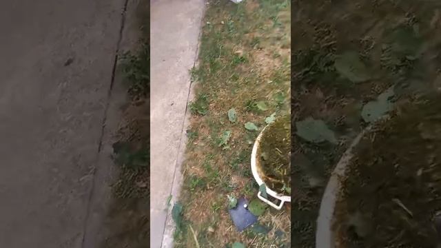 Измельчитель. 2,2квт 3000об/м (траворезка, сенорезка, овощерезка) смотреть онлайн