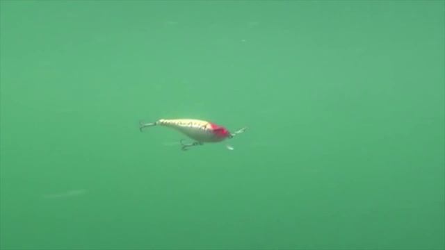 Strike Pro | Crankee Bass смотреть онлайн
