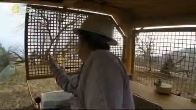 как находят Капы смотреть онлайн