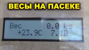 Весы на пасеке.