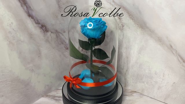Роза в колбе светло-голубая. Магазин rozavcolbe. смотреть онлайн