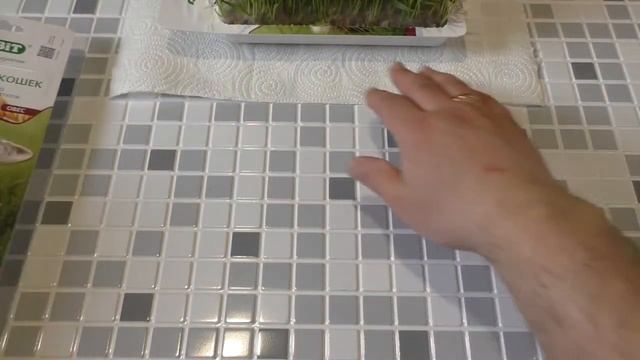 Трава для кошек смотреть онлайн