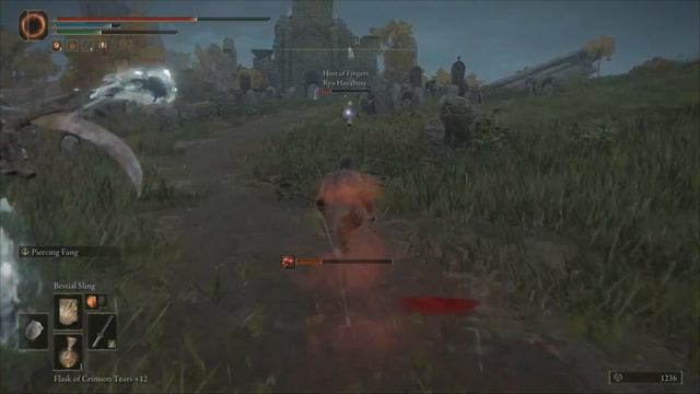 Elden Ring PVP | Jar Cannon invasions with Big Boss #1 смотреть онлайн