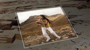 Полёт кондора