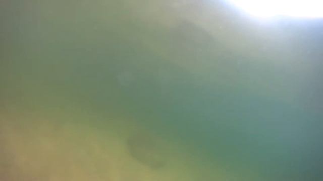 купаемся в тарасово смотреть онлайн