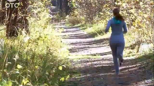 Собачий спорт: новосибирские любители животных готовятся к необычным соревнованиям смотреть онлайн