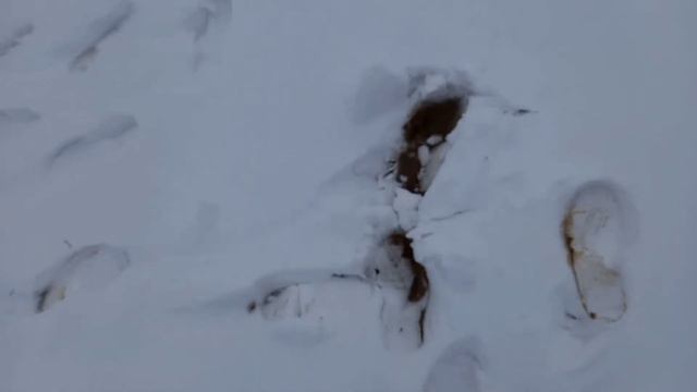 Влог. Ваня завтра уезжает))-выпал снег,❄ мы лепим снеговика☃️ смотреть онлайн