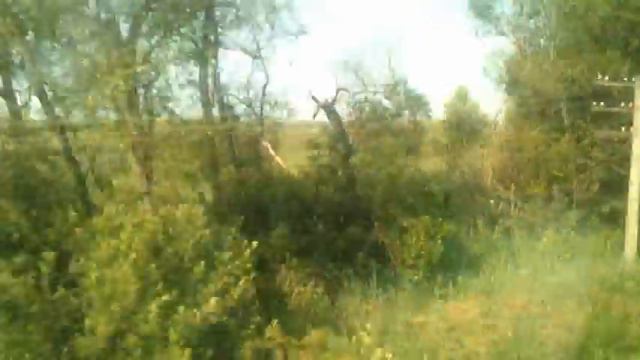 Самара Санкт Петербург смотреть онлайн