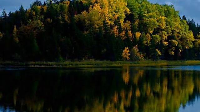 Отдых на природе