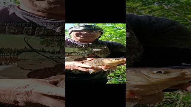 Вот это КАРАСИЩЕ!!! смотреть онлайн