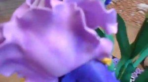 Как сделать цветы  из фоамирана(ИРИСЫ)