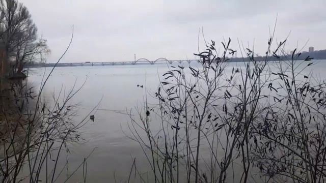 Ах Астахова "Убери телефон" смотреть онлайн