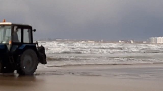 Анапа, шторм, дельфин на берегу смотреть онлайн