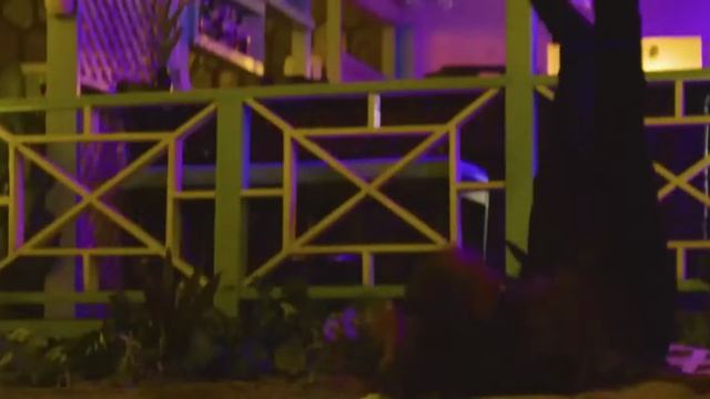 Остров Трейлер смотреть онлайн