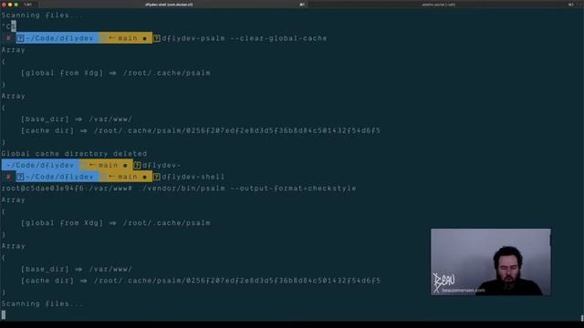 Trying to see how PHP Psalm ticks (performance!) смотреть онлайн