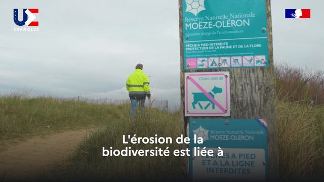 Avec France vue sur mer, le sentier du littoral de l'île d'Oléron fait peau neuve смотреть онлайн