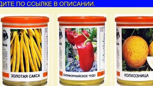 Выбираем Проверенные Сорта Свеклы смотреть онлайн