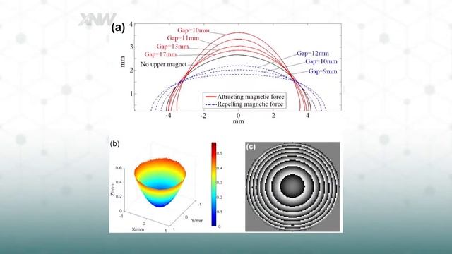 Making Lenses By Using Magnets смотреть онлайн
