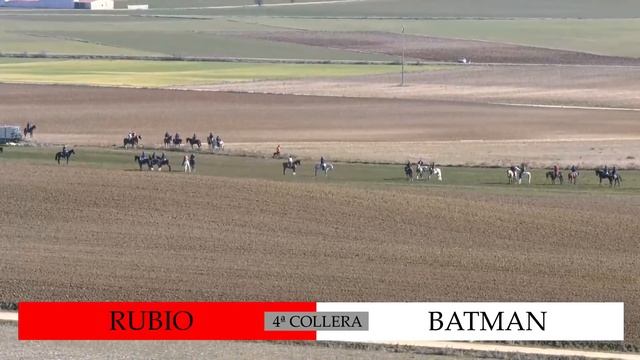" CUARTOS DE FINAL Campeonato de España de Galgos " смотреть онлайн