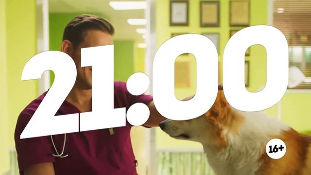 Дженерик Любимцы+ ролик 10 сек про план собака смотреть онлайн