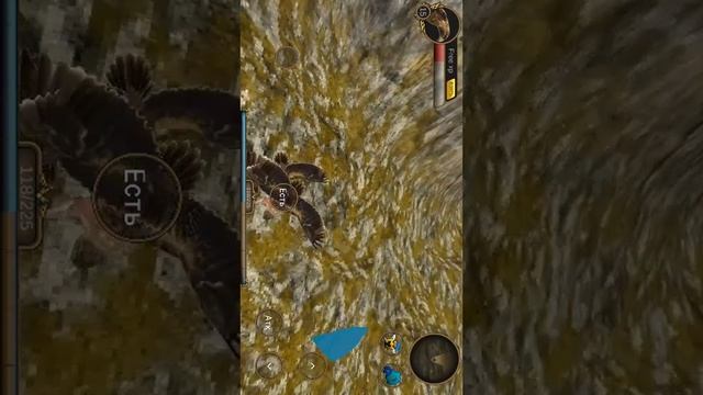 Симулятор орла смотреть онлайн