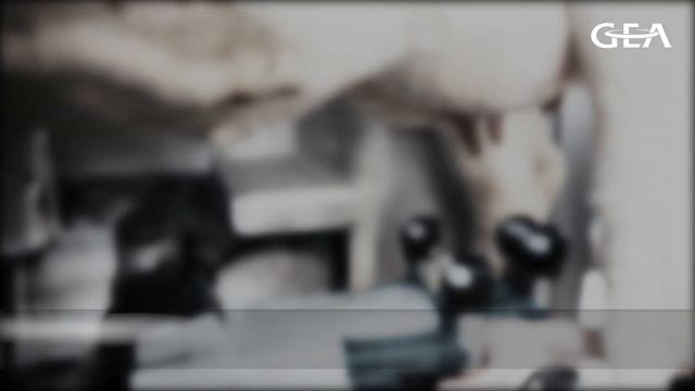 Van Stee Holsteins - GEA R9500 Robot Barn