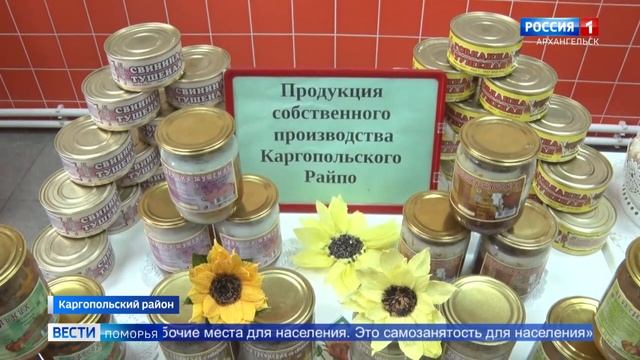 Накануне визитом в Каргопольский района глава области завершил свои рабочие поездки по региону смотреть онлайн