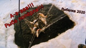 Рыбалка на паук зимой! Чуть всю рыбу не проспал!!! Рыбалка на паук 2022!